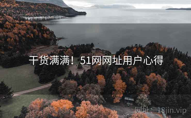干货满满！51网网址用户心得