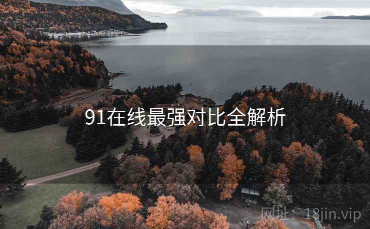 91在线最强对比全解析
