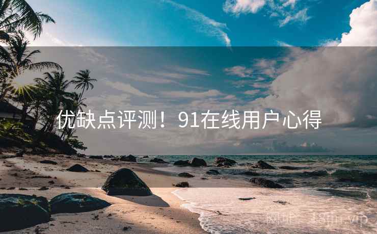 优缺点评测！91在线用户心得