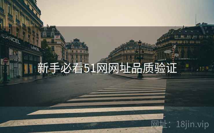 新手必看51网网址品质验证
