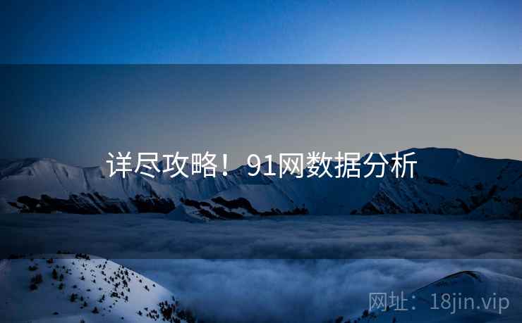 详尽攻略！91网数据分析