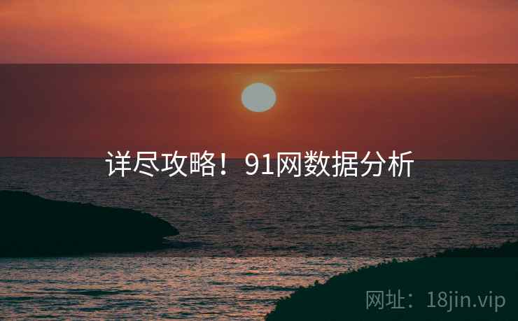 详尽攻略！91网数据分析