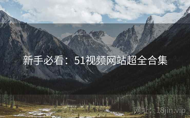 新手必看：51视频网站超全合集