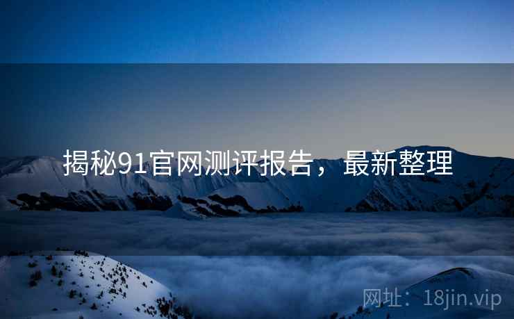 揭秘91官网测评报告，最新整理