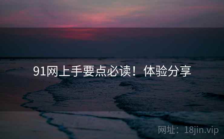 91网上手要点必读！体验分享