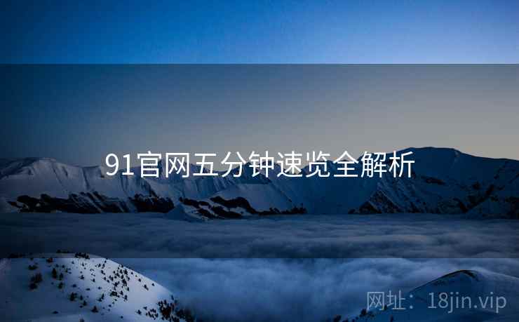 91官网五分钟速览全解析