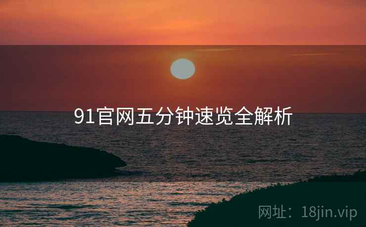 91官网五分钟速览全解析