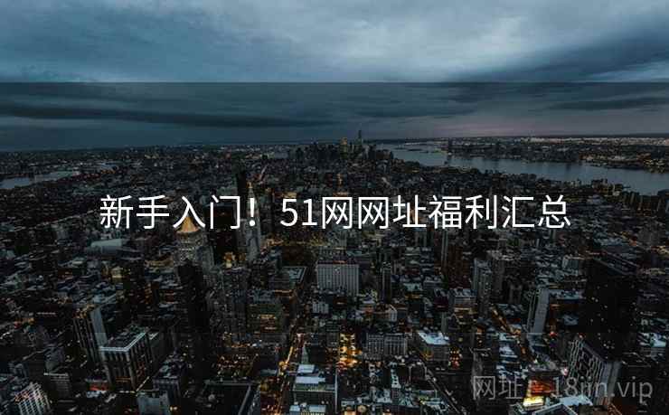 新手入门！51网网址福利汇总