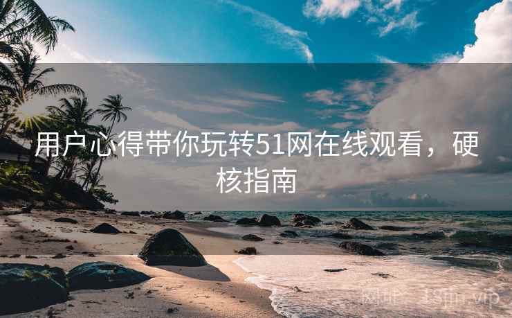 用户心得带你玩转51网在线观看，硬核指南