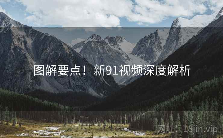 图解要点！新91视频深度解析