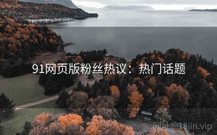 91网页版粉丝热议：热门话题