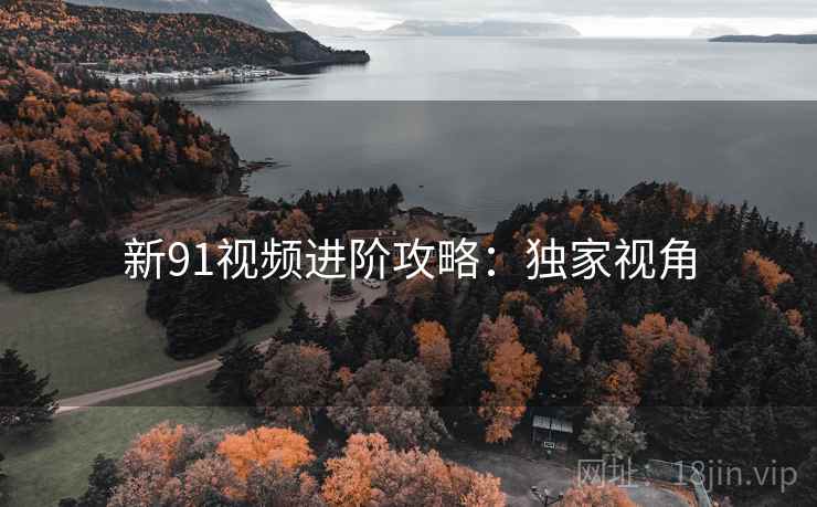 新91视频进阶攻略：独家视角