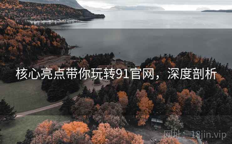 核心亮点带你玩转91官网，深度剖析