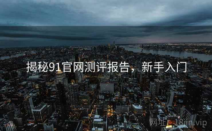 揭秘91官网测评报告，新手入门