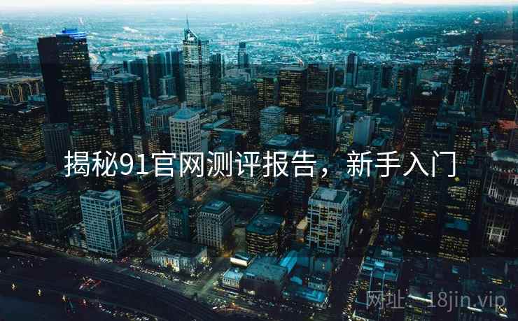 揭秘91官网测评报告，新手入门