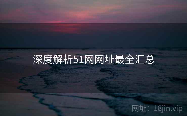 深度解析51网网址最全汇总