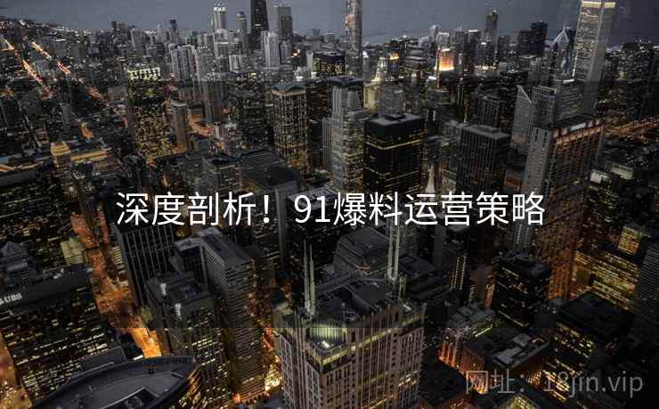 深度剖析！91爆料运营策略