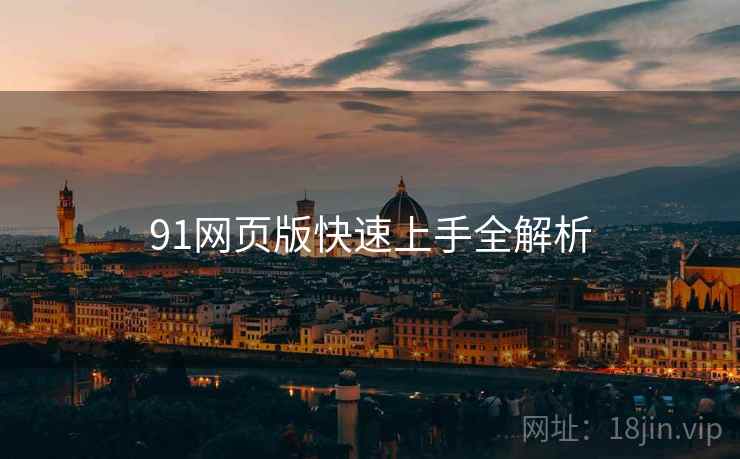 91网页版快速上手全解析