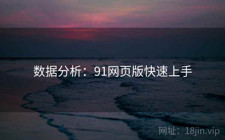 数据分析：91网页版快速上手
