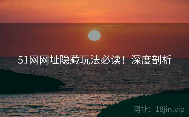 51网网址隐藏玩法必读！深度剖析