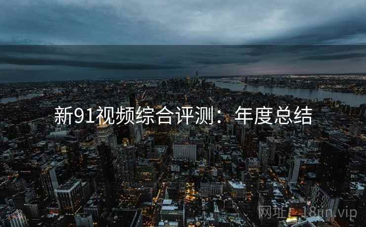 新91视频综合评测：年度总结