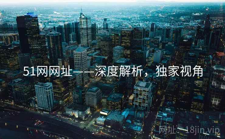 51网网址——深度解析，独家视角