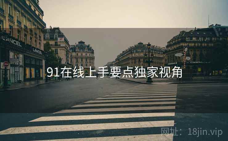 91在线上手要点独家视角