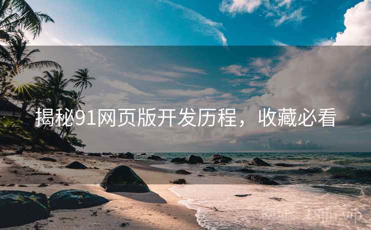 揭秘91网页版开发历程，收藏必看