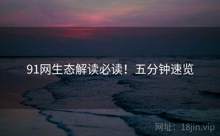 91网生态解读必读！五分钟速览