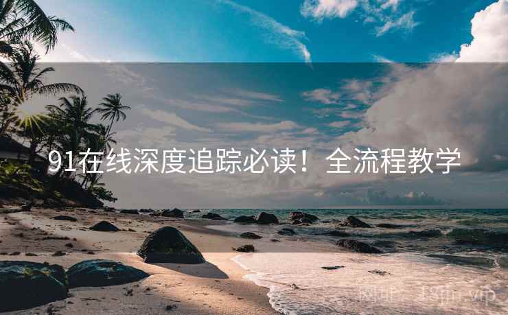 91在线深度追踪必读！全流程教学