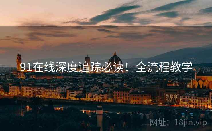 91在线深度追踪必读！全流程教学